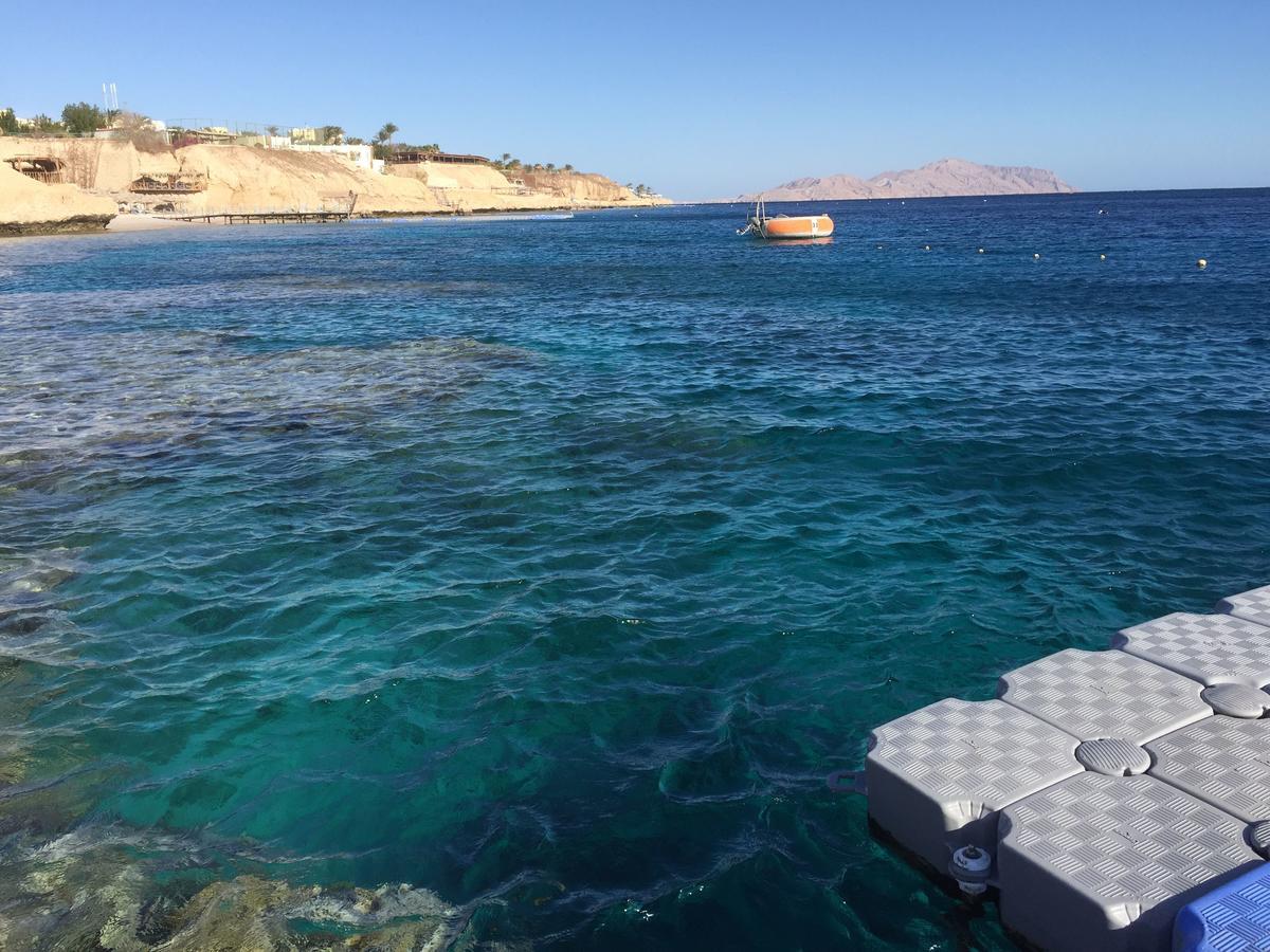 Sharks Bay Oasis Apartment Sharm el-Sheikh Exterior photo